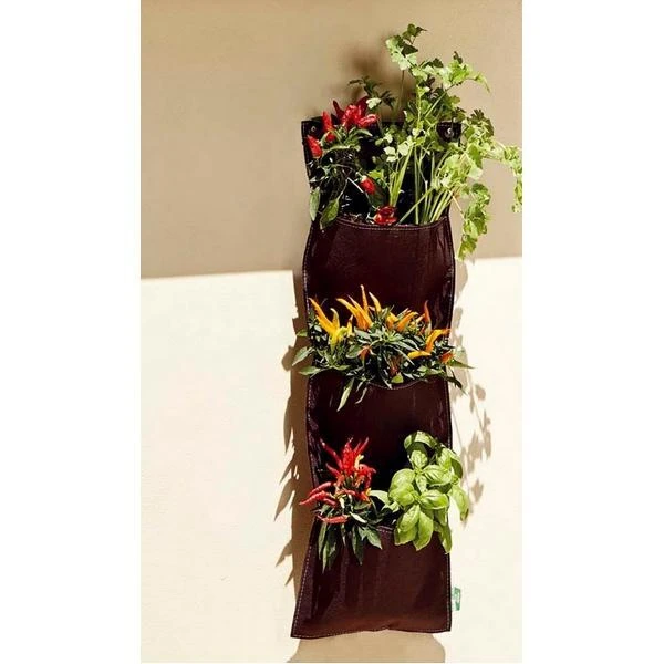 Hangende Moestuin Met 3 Vakken - 26 × 70 Cm - Afbeelding 2